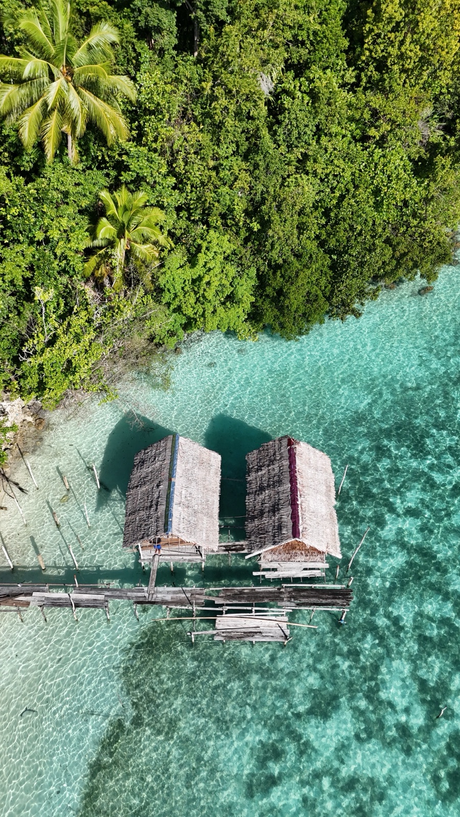 Homestay bungalows over the reef, Raja Ampat